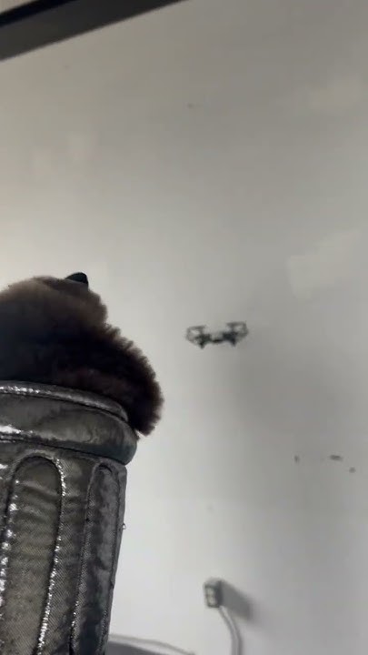 trashp4ndasec's tweet card. Puppet vs Drone