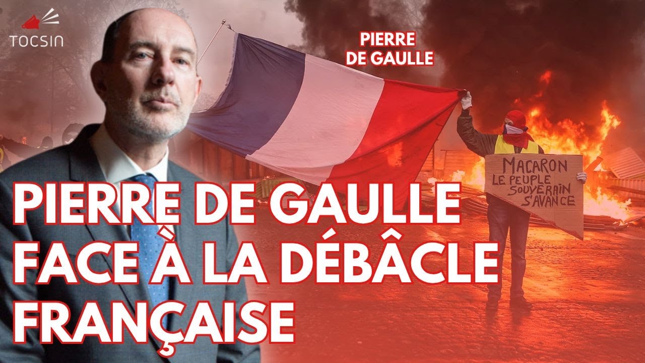 AlephZerox's tweet card. Bercoff sur le Vif 05/11 : La France malade de ses élites – entretien...