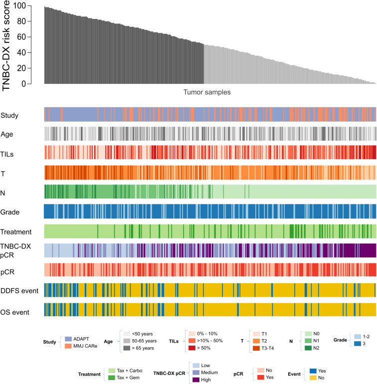 PTarantinoMD's tweet card. Identification of biomarkers to optimize treatment strategies for early-stage triple-negative breast cancer (TNBC) is crucial. This study presents the development and validation of TNBC-DX, a novel...