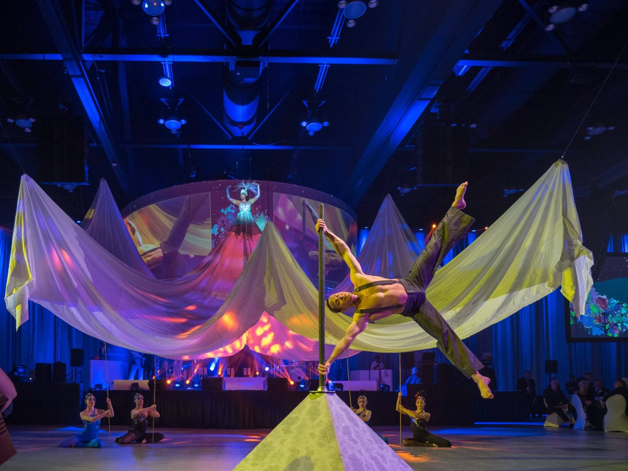 singularityblog's tweet card. The 10 most important strategies for how circus businesses and artists can thrive in a changing entertainment industry.