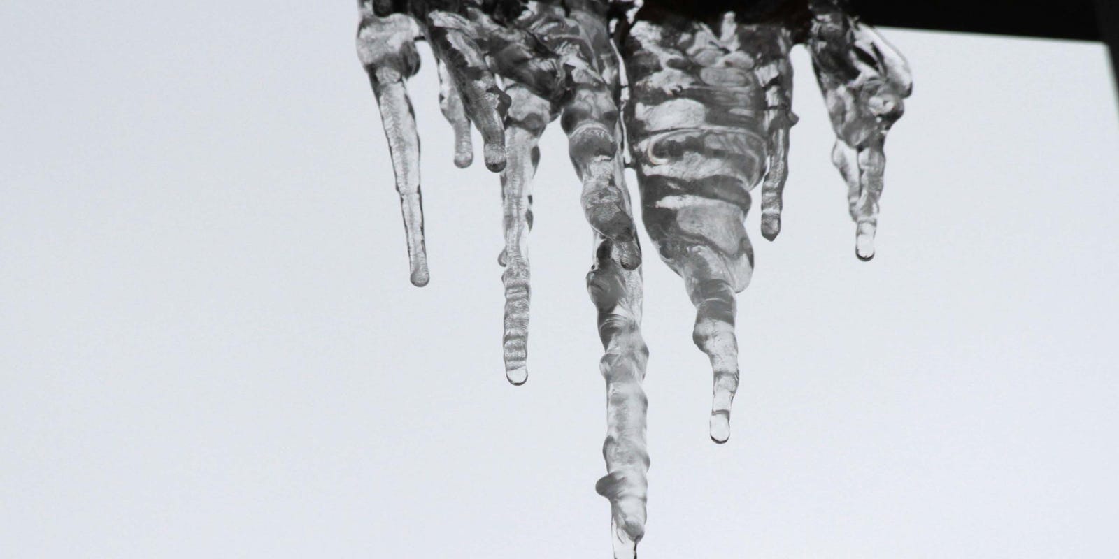 TougalooTree's tweet card. The following organizations have announced closures for Feb. 18 because of continued problems caused by wintry weather.