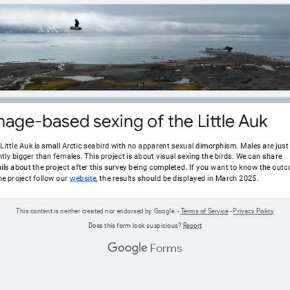 Tweet card summary image