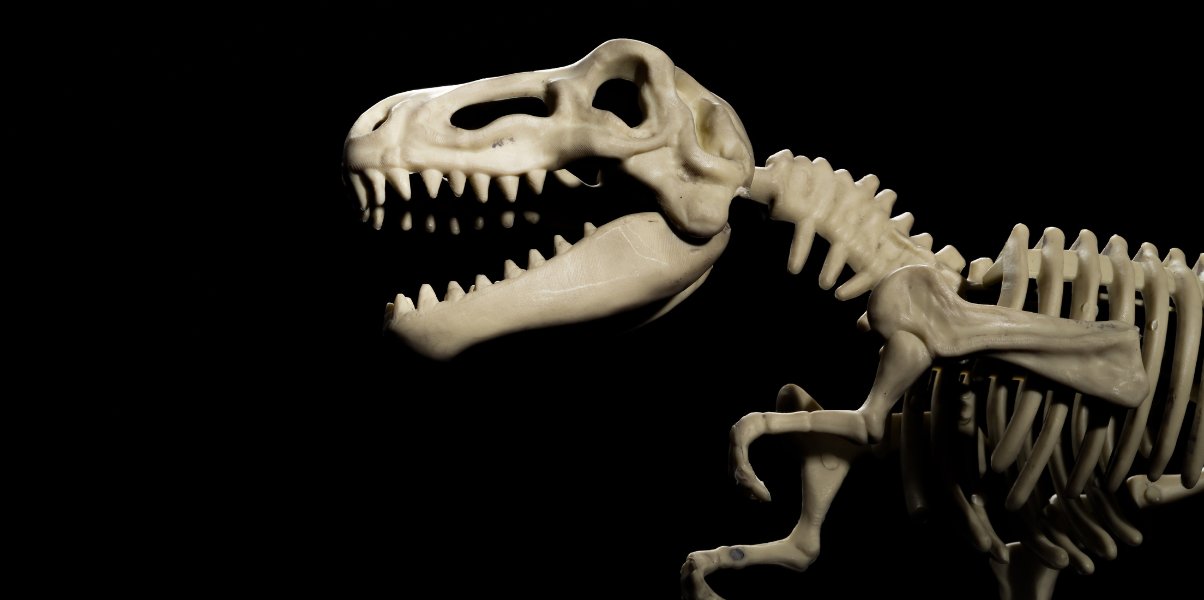 bitovi's tweet card. Will your app's code stand the test of time? Using an ORM will help organize code structure, boost team productivity, and improve the developer experience!