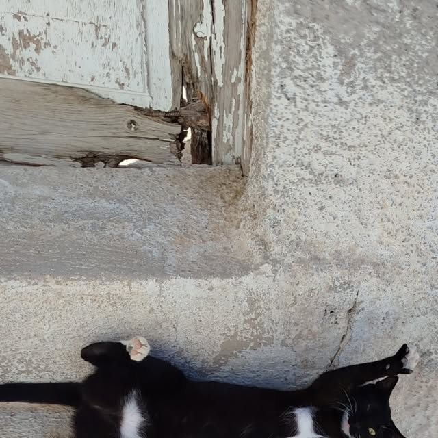 artdem83's tweet card. Artemis Giote 🌹 (@artemisgiote) • Instagram photos and videos