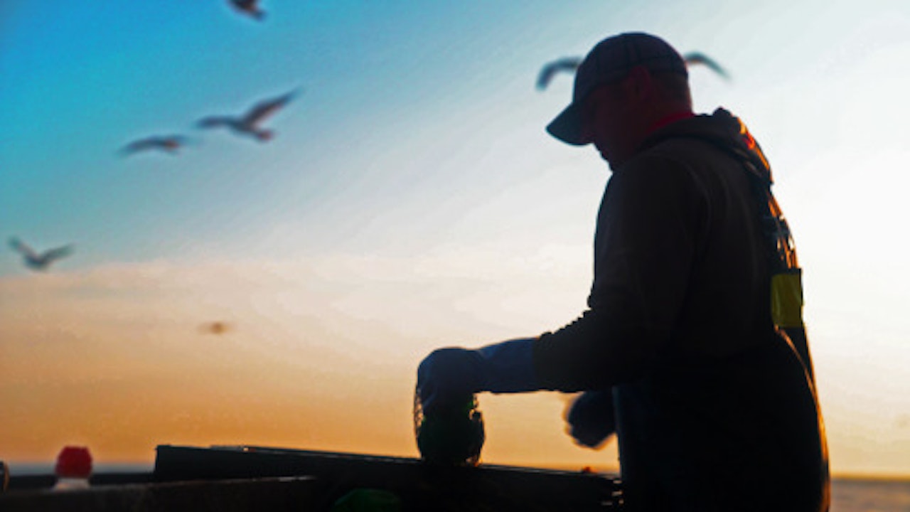 CompInclu's tweet card. Get tickets for the virtual screening of Lobster War