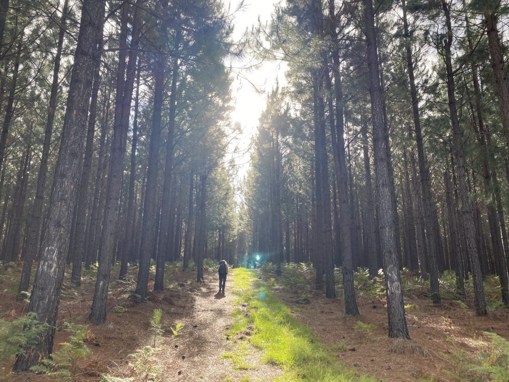 travislima's tweet card. Lately, I’ve been coming across situations that got me thinking a lot about strengths, natural abilities, and how they stack up against our weaknesses. One example that stands out is the recent...