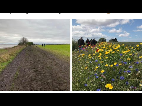 William23598156's tweet card. Day 298 #Ollyblogs #LockDownLearning