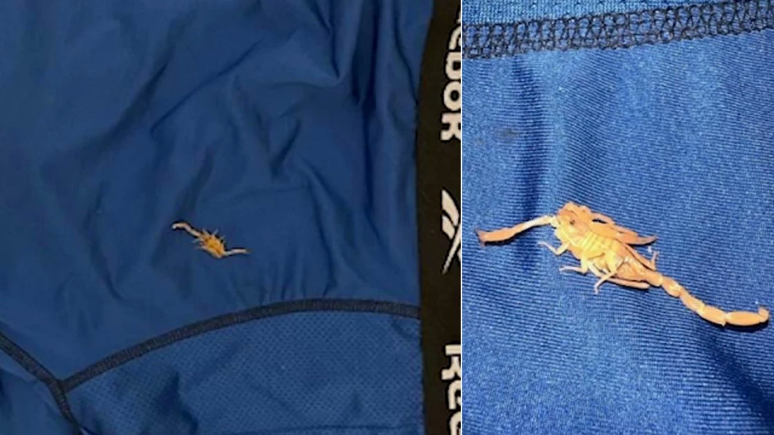 citizentvkenya's tweet card. Michael Farchi of Agoura Hills says the experience left him in excruciating pain and he still has lingering medical issues months later.