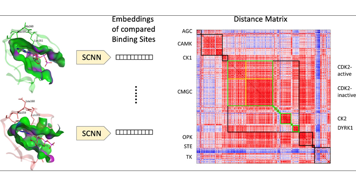 Drug_Design_UCL's tweet card. The analysis and comparison of protein-binding sites aid various applications in the drug discovery process, e.g., hit finding, drug repurposing, and polypharmacology. Classification of binding sites...