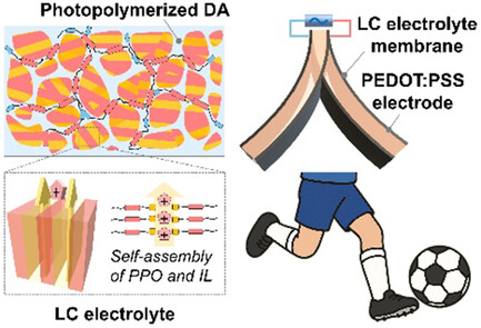 Advintellsyst's tweet card. A flexible liquid-crystalline electrolyte membrane via in situ photopolymerization of a phosphate-functionalized mesogen, ionic liquid, and diacrylate monomer is developed. The resulting smectic B...