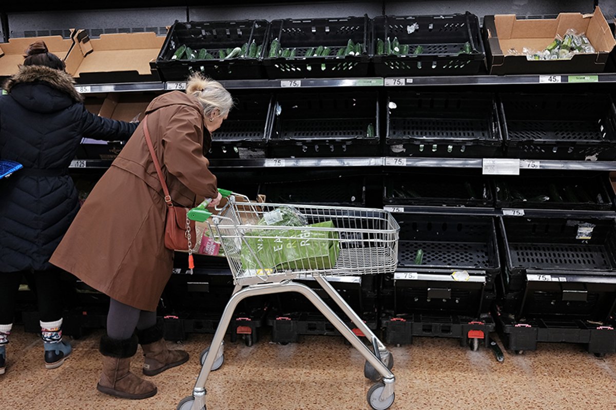 TDXTech's tweet card. Technology news, procured and shared by TDX Tech: Supermarket Giant to Bring in Digital Price Tags Across Hundred of Stores. To learn more...