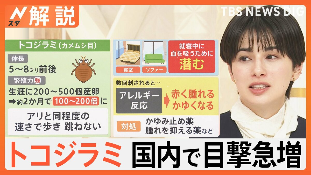 unnkoderuzou's tweet card. 韓国やフランスなどで被害が相次いでいる「トコジラミ」。日本でも目撃情報が相次いでいます。就寝時に人の血を吸う機会を狙う厄介なトコジラミ、被害を防ぐには?解説です。良原安美キャスター:SNSへの投稿で、「…