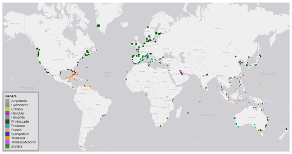 cssalinas1's tweet card. Abstract. Seagrass meadows provide valuable socio-ecological ecosystem services, including a key role in climate change mitigation and adaption. Understanding the natural history of seagrass meadows...