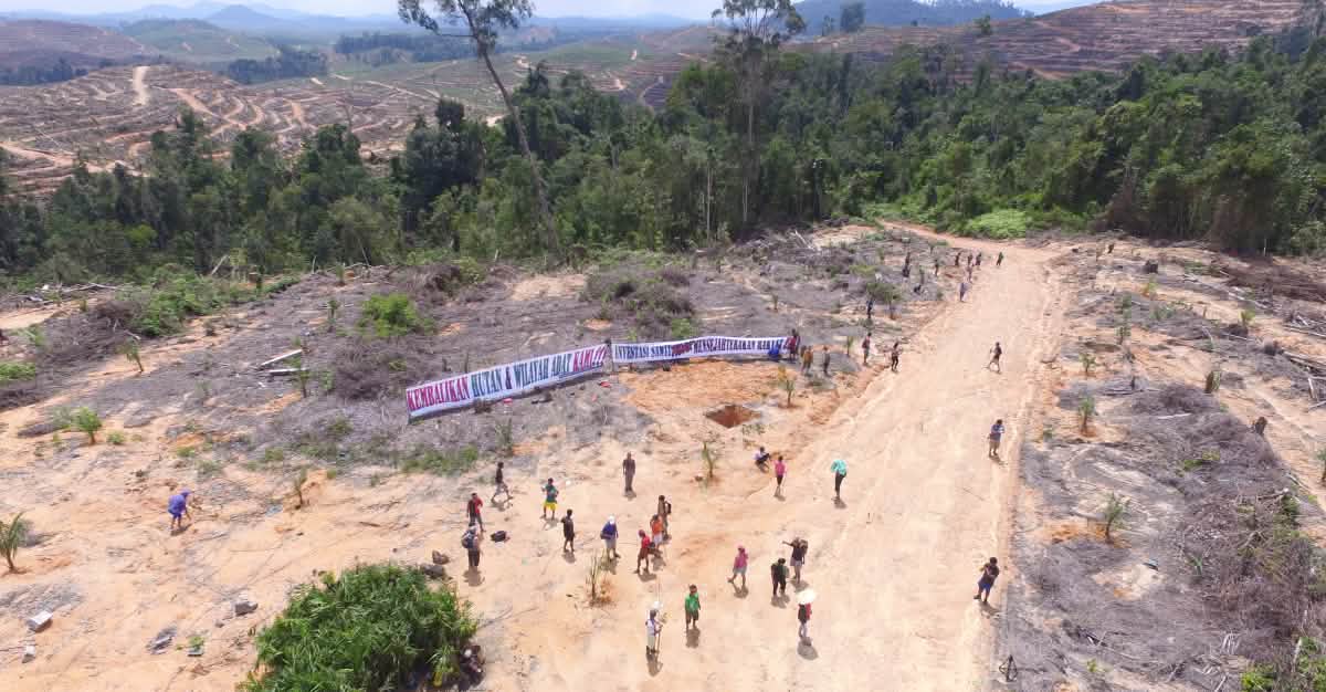 Designststb's tweet card. Diesen Mittwoch will der Bürgermeister von Kressbronn den Kauf von jährlich 180 Tonnen Palmöl für die Schulheizung vom Gemeinderat genehmigen lassen. Eine Protestkundgebung ist geplant. Marktplatz...