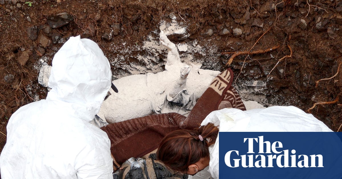 ROForensics's tweet card. Tens of thousands of families are desperately searching for loved ones ‘disappeared’ by the country’s drug cartels. Now, pigs, drones and AI are being used to find clandestine graves
