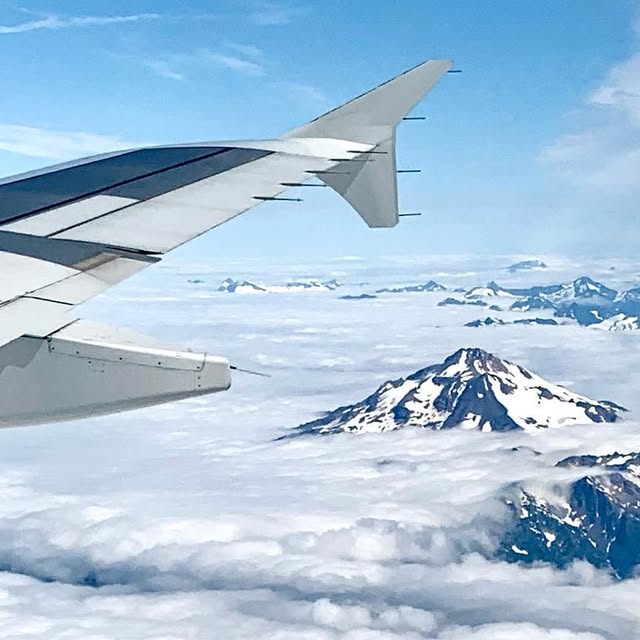 docsconz's tweet card. John Sconzo (@docsconz) • Instagram photos and videos