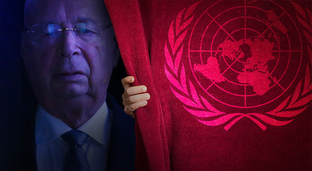 net11e's tweet card. The United Nations are unmasked as a organization run by criminal oligarchs, who use it to enrich themselves and enslave humanity.