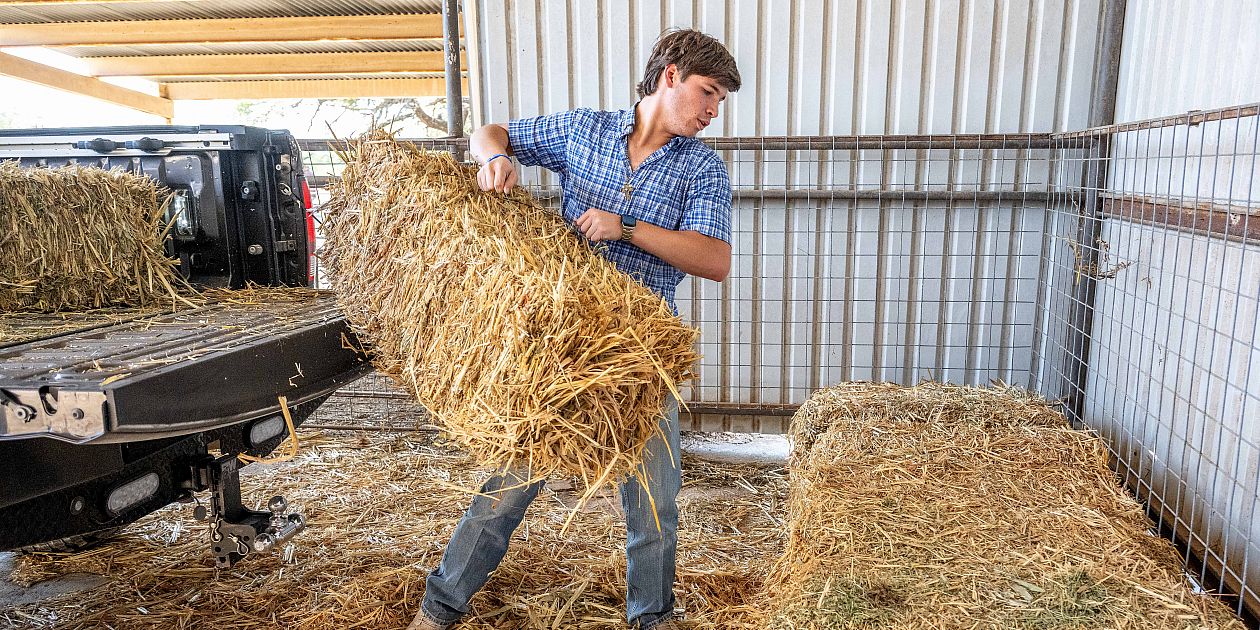 ASUDevelopment's tweet card. Cultivate your future in agriculture at Angelo State, exploring diverse programs that blend hands-on experience with cutting-edge research and industry insights