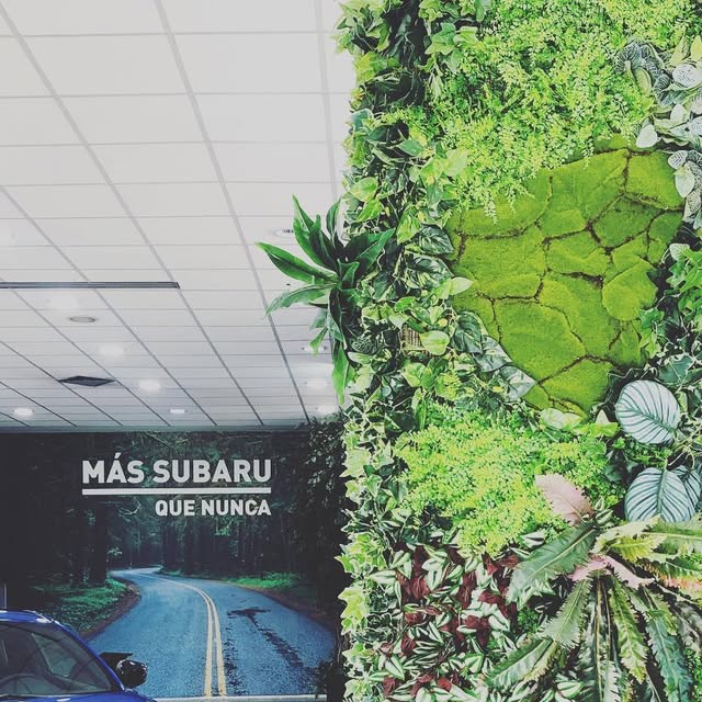 b2meproyectos's tweet card. b2me (@b2me_proyectos) • Instagram photos and videos