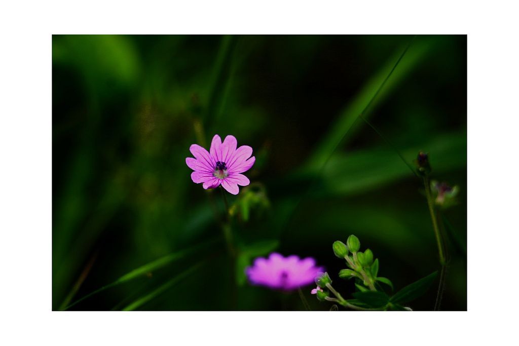 mori_taravat's tweet card. Some frames of nature are like a canvas and a painting by God. I am grateful that I can see and record the beauty. Some days when your energy is high, you can feel the beauty of nature even more.