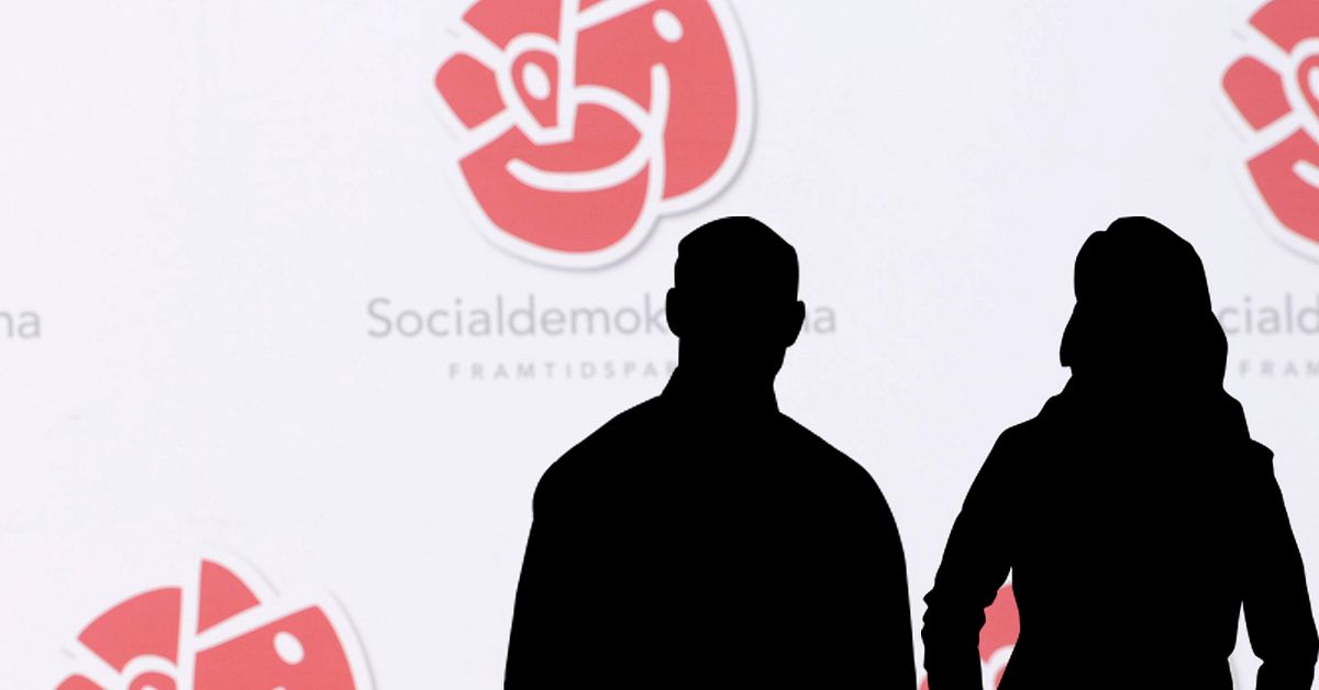 Bongoberra's tweet card. Efter SVT:s avslöjande om att två S-medarbetare stängts av för att de via trollkonton spridit satirbilder om politiska motståndare har nu partiet utrett vad som hänt. Medarbetarna får behålla jobben...