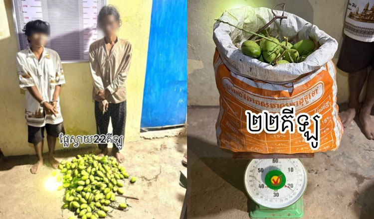 KhmerTimes's tweet card. 2 drug users have been arrested for the theft of a sack of mangoes.