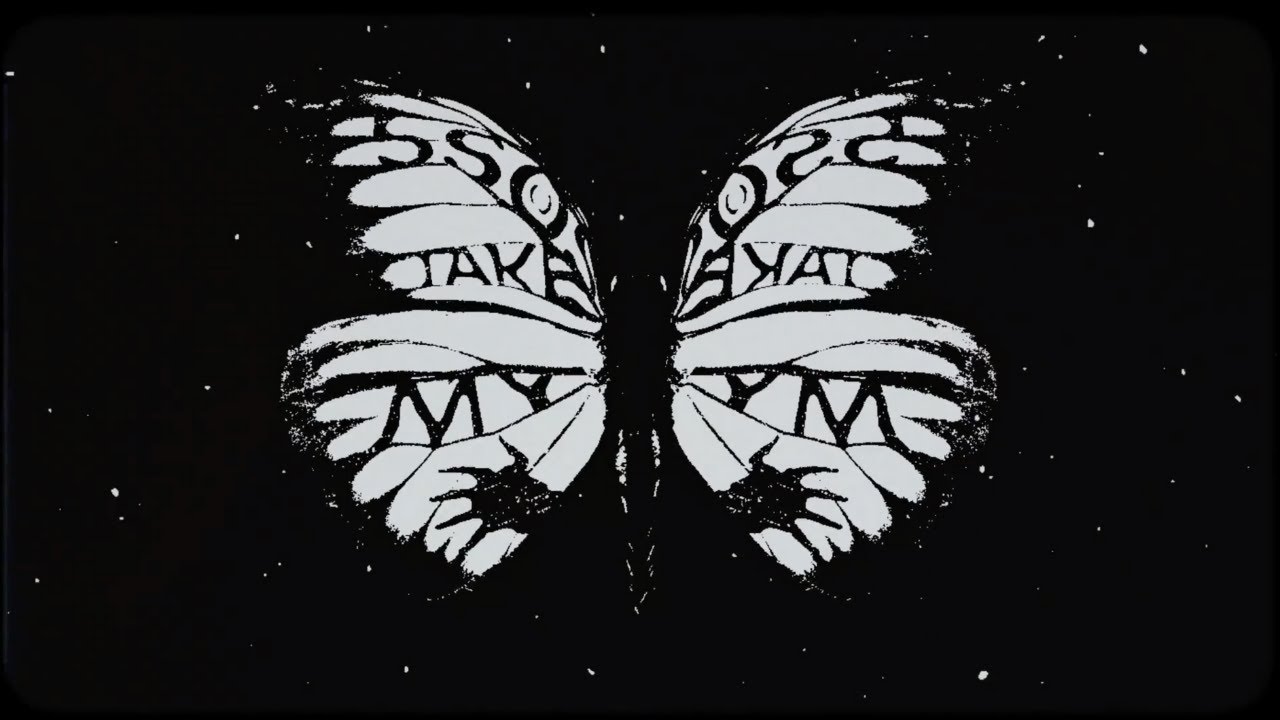 rickbromedia's tweet card. 5 Seconds of Summer - Take My Hand (Official Visualizer)