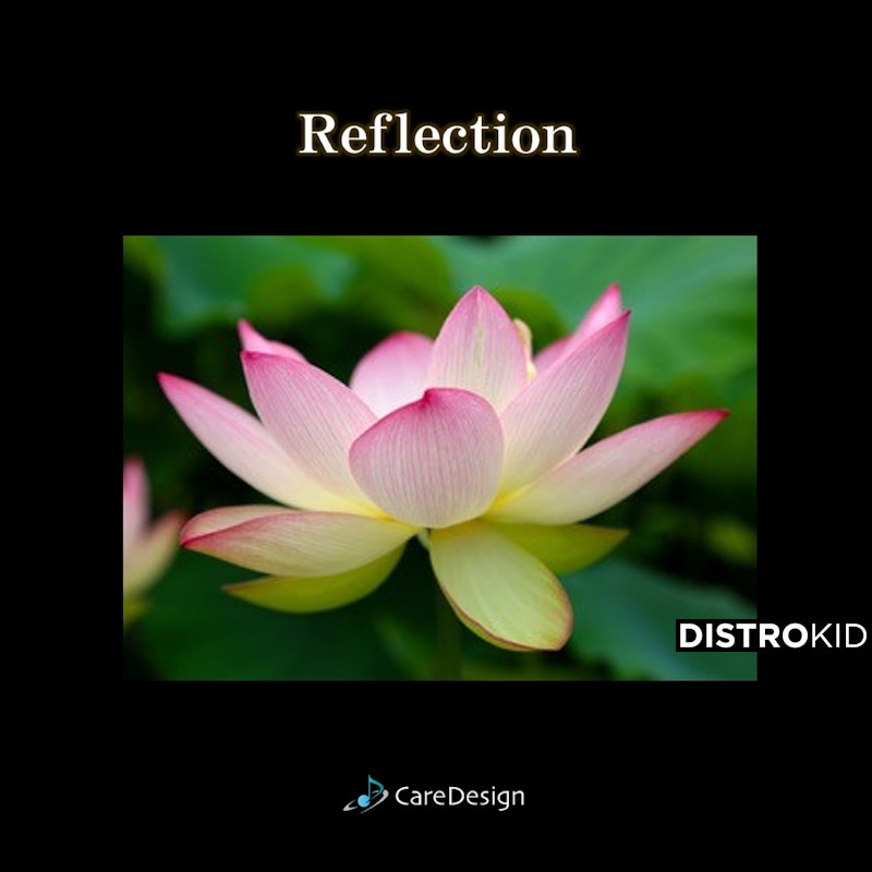 caredesign_CCA's tweet card. Stream and Save Reflection - Distributed by DistroKid