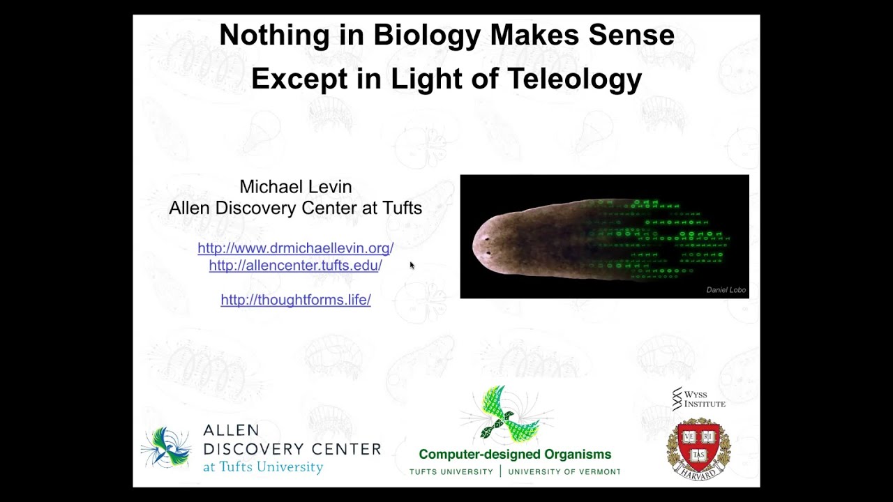 Somehowtheyknow's tweet card. "Nothing in biology makes sense without teleology" by Michael Levin