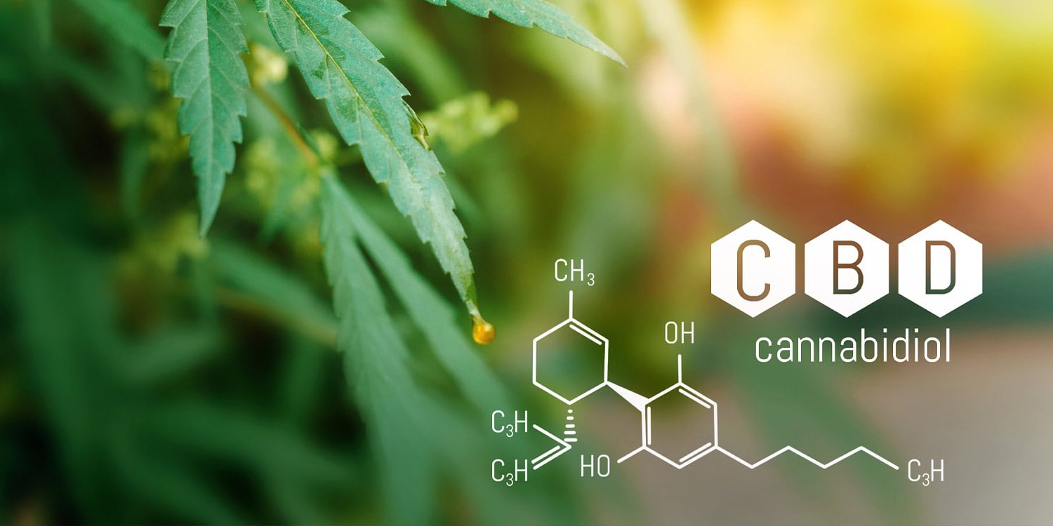 PsyPost's tweet card. In a study using an Alzheimer’s disease mouse model, researchers found that cannabidiol reduced memory loss and brain abnormalities. The compound worked by enhancing the function of glycine recepto...