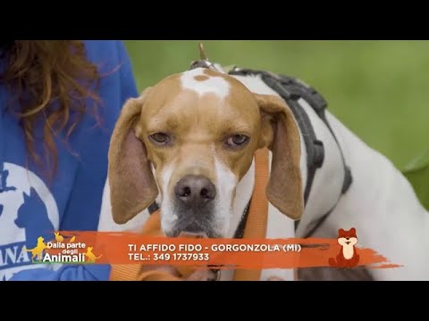 dpda_rete4's tweet card. PUNTATA DEL 16 NOVEMBRE, ADOZIONE 2: LEA