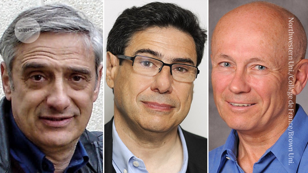 sharpwill's tweet card. Nature - Joel Mokyr, Philippe Aghion and Peter Howitt share economics prize for work that underlines the importance of investing in research and development.