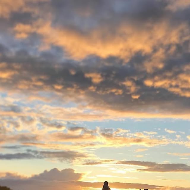 MassembreHeer's tweet card. Massembre (@massembre) • Instagram photo