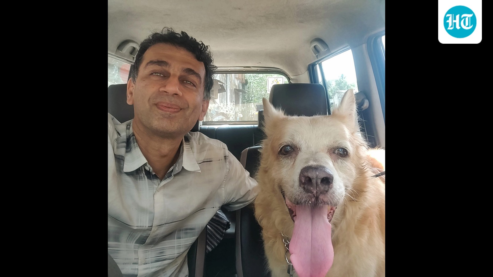 chintanwriting's tweet card. ‘Street dogs are territorial. When you remove them from an area, there is a vacuum. New dogs come and occupy that’.