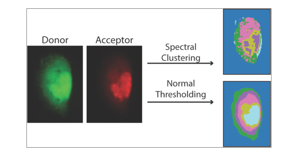 JPhysChem's tweet card. Understanding the heterogeneity of molecular environments within cells is an outstanding challenge of great fundamental and technological interest. Cells are organized into specialized compartments,...