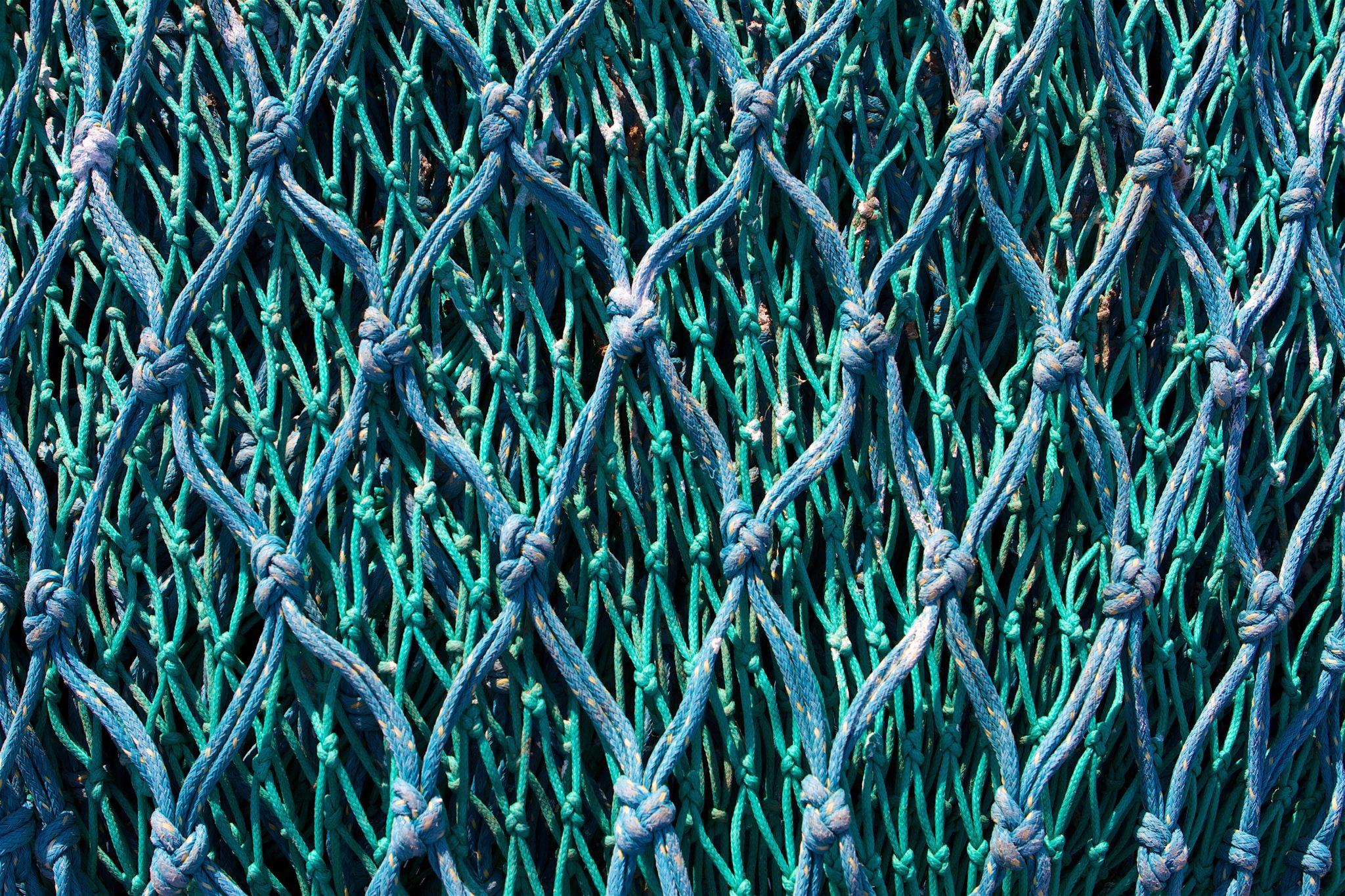 Deepwave_Info's tweet card. Die Nachfrage nach Stint ist hoch, gerade in den Hamburger Restaurants. Seit über 50 Jahren fischt Walter Zeeck in der Elbe. Er berichtet, dass immer weniger Stint im Netz landet. Viele Fischereibe...