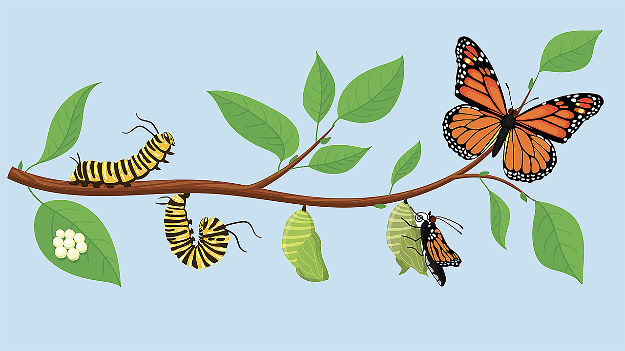 doronkatz's tweet card. Where you are on this maturity spectrum directly determines whether automation becomes a competitive advantage or just another source of technical debt.