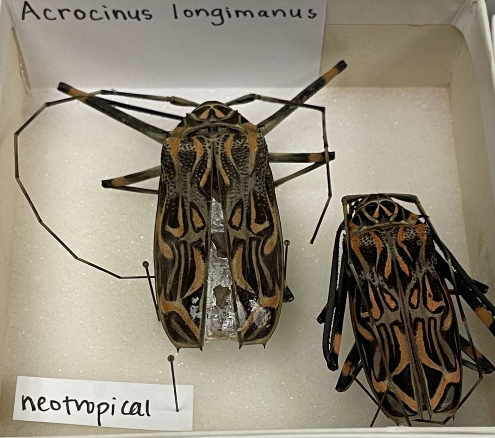 OSUCatOSU's tweet card. Like most kids, I went through a wide range of dream careers while growing up. I wanted to be a pediatrician in elementary school; in middle school, I aspired to become a biomedical engineer. In hi…