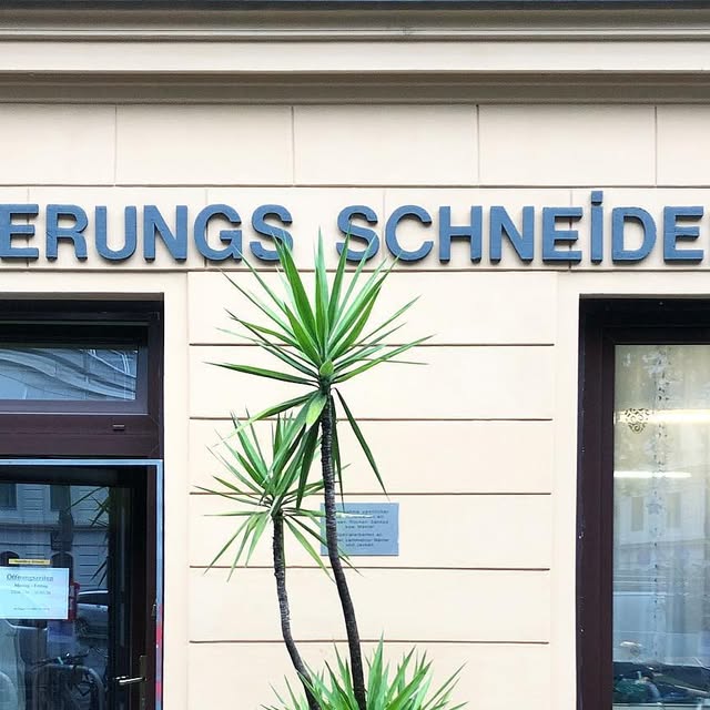 vrorosa's tweet card. Verena Rosa Gräf (@vrorosa) • Instagram photo