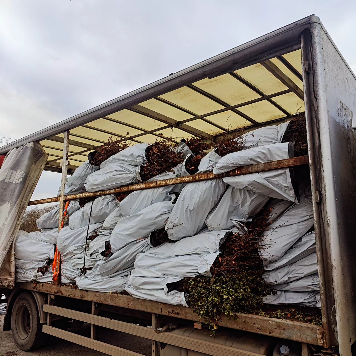 Lesterleapsin's tweet card. In 2023 to-date, there have been over one million plants of whitethorn/hawthorn imported into Ireland from within the EU.