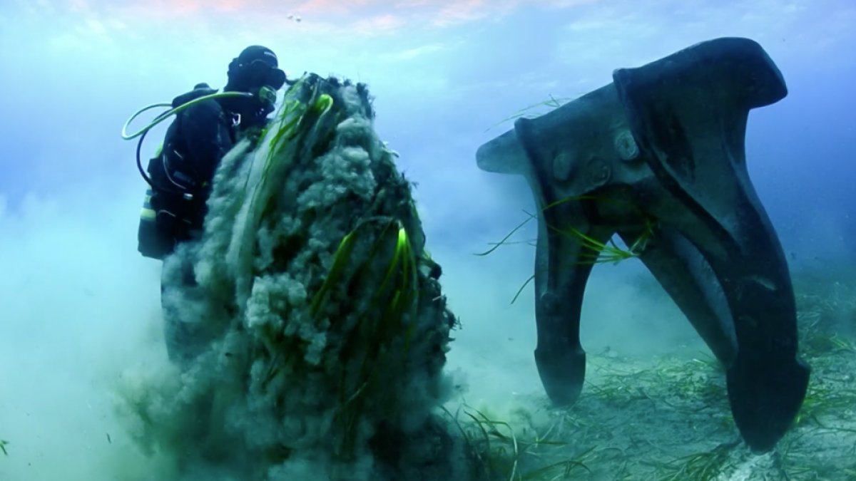 compromisllauri's tweet card. Cada 8 de junio se celebra el Día Mundial de los Océanos, una oportunidad para recordar al mundo el gran papel que juegan en nuestra vidas.