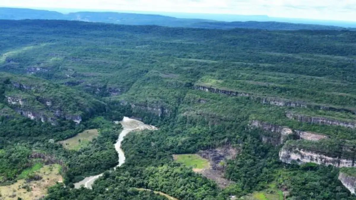 RConectando's tweet card. Según expertos, la presencia de Colombia puede afianzar relaciones internacionales.