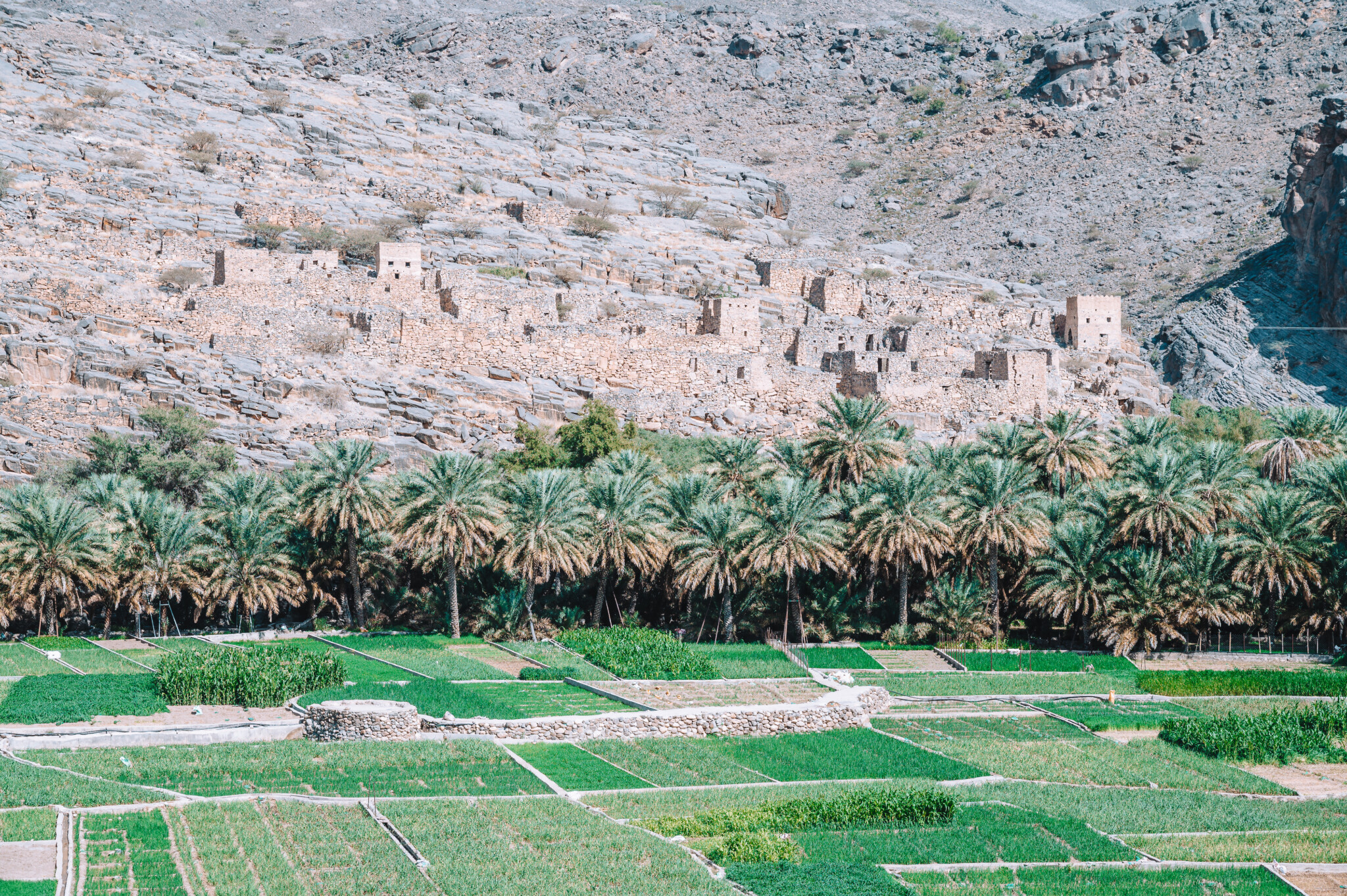 archive_mag's tweet card. Die 17 besten Oman Sehenswürdigkeiten: Hol' dir echte Insider-Tipps für alle Highlights – mit persönlichen Empfehlungen und Geheimtipps.