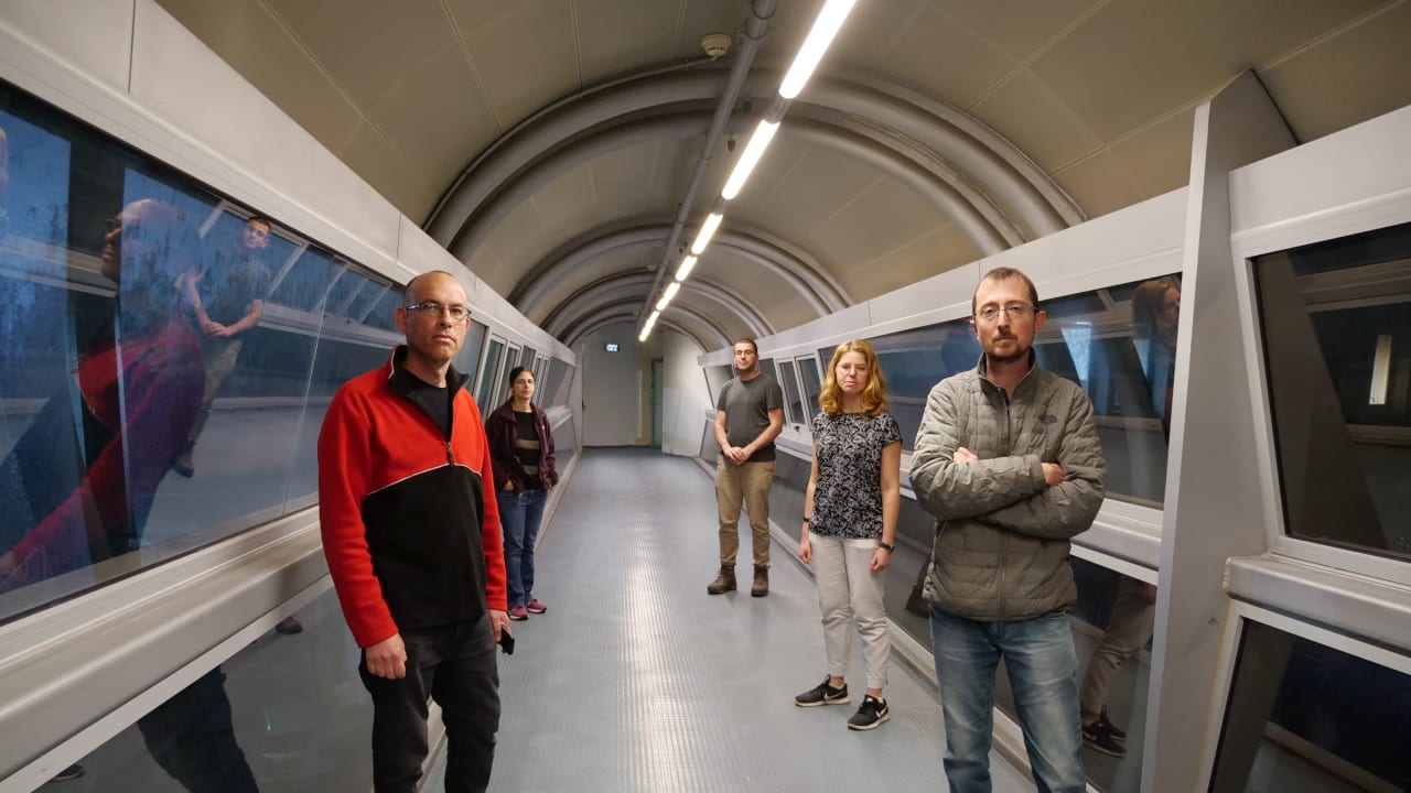 anandmahindra's tweet card. This new testing method allows for testing asymptomatic people suspected of having the virus, as well as for dozens of tests to be carried out at once, speeding up efforts to curb the virus's spread.