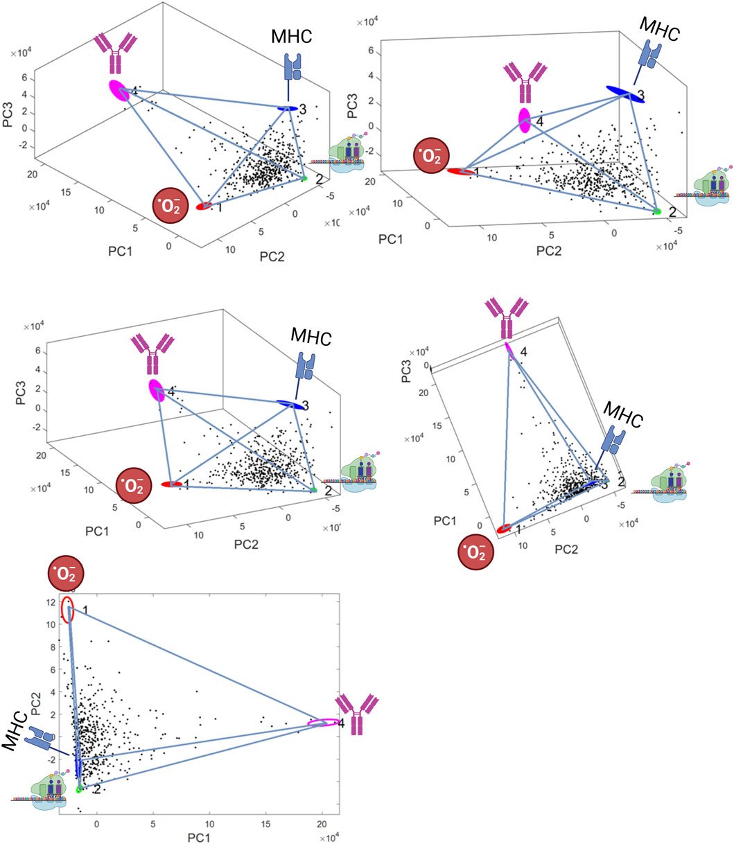 FrontSystemsBio's tweet card. One of the main challenges in cancer treatment is the selection of treatment resistant clones which leads to the emergence of resistance to previously effica...