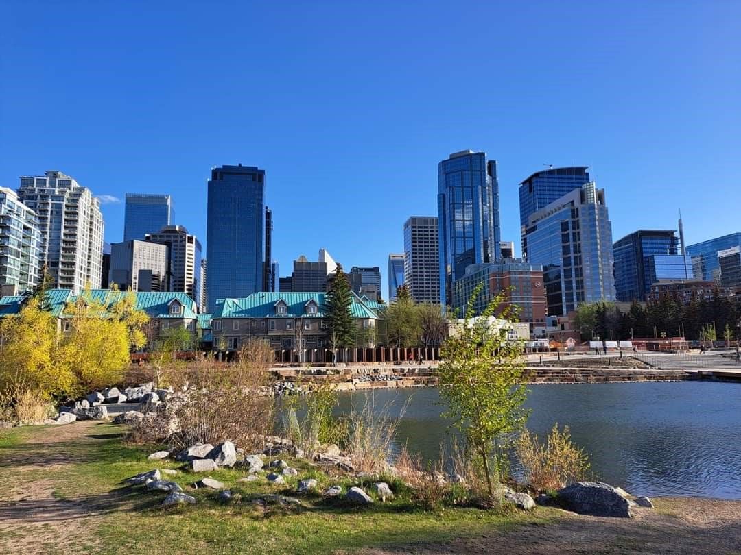 AmmaraFMalik's tweet card. The Seplaa Consultants Canada Inc. page is putting up regular content on #CanadaStartUpVisaProgram, #BusinessStrategy and about some exciting products and opportunities which will follow soon. Have...