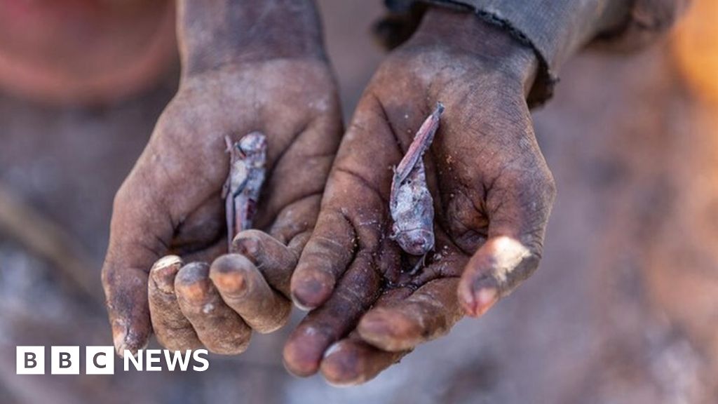 shahidazl's tweet card. The country is on the brink of experiencing the world's first "climate change famine", the UN says.