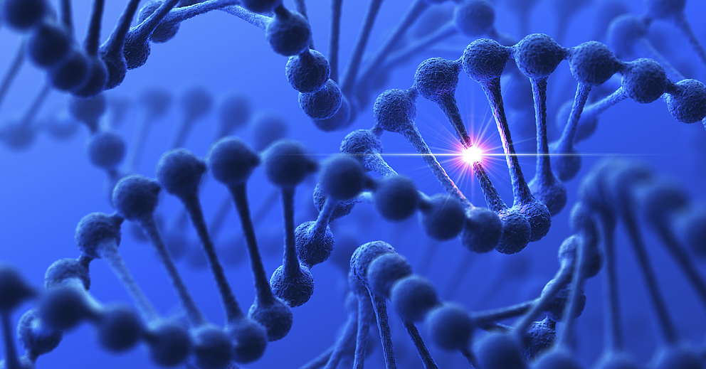 JAX_Careers's tweet card. Hinson Lab – Farmington, CT The Hinson Lab is seeking an independent, highly motivated PhD-level scientist to join our group at The Jackson Laboratory for Genomic Medicine and UConn Health. Our...