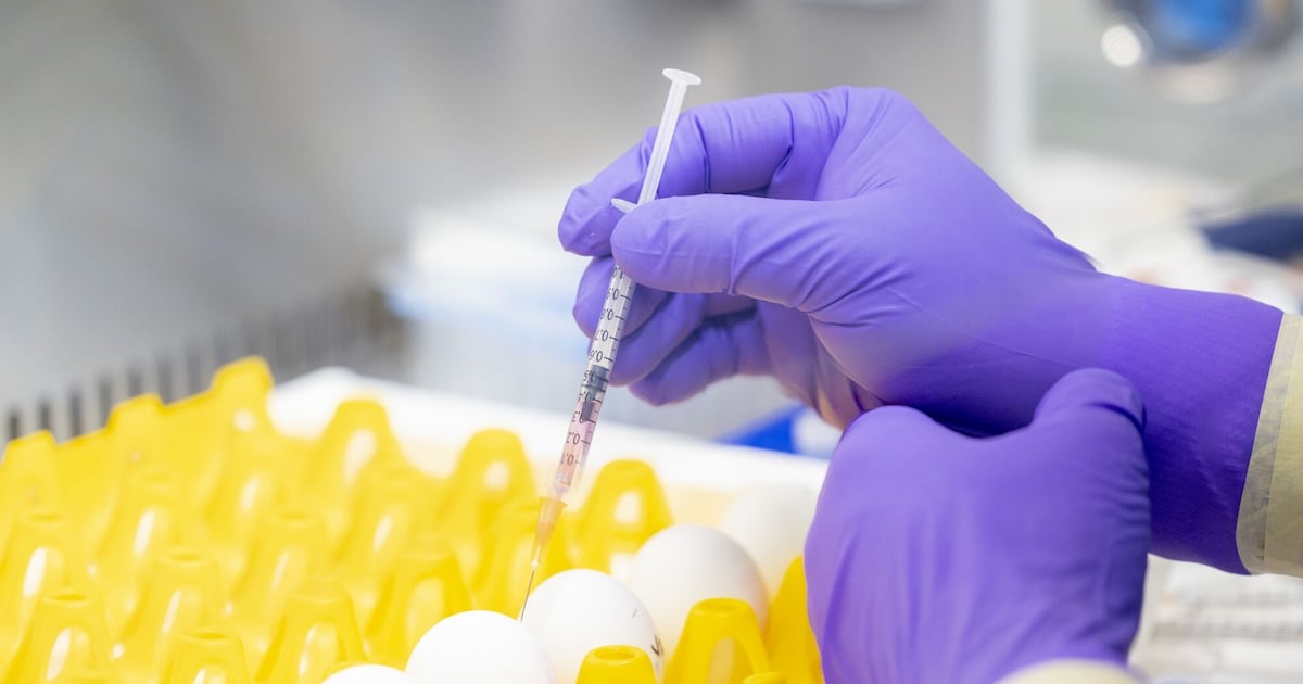 CTVNews's tweet card. A freeze on U.S. federal funding for scientific research has derailed studies on this side of the border, creating what one immunologist calls an 'incredibly worrisome' state of affairs.