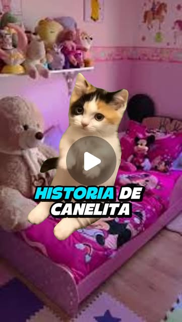 anciomi's tweet card. Jeannette Jara (@jeannettejararoman) • Instagram reel